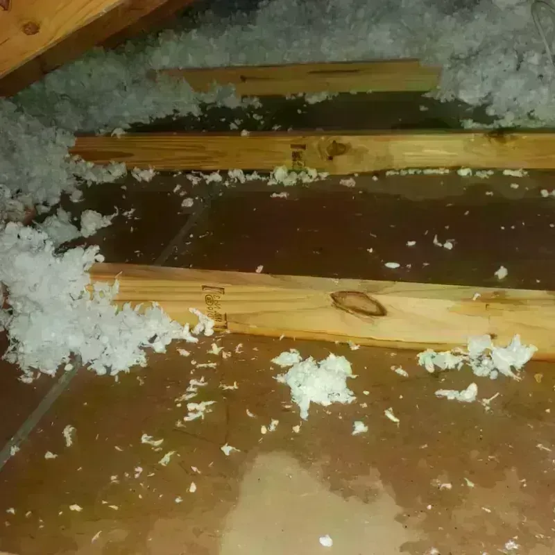 Attic Water Damage in Ordway, CO