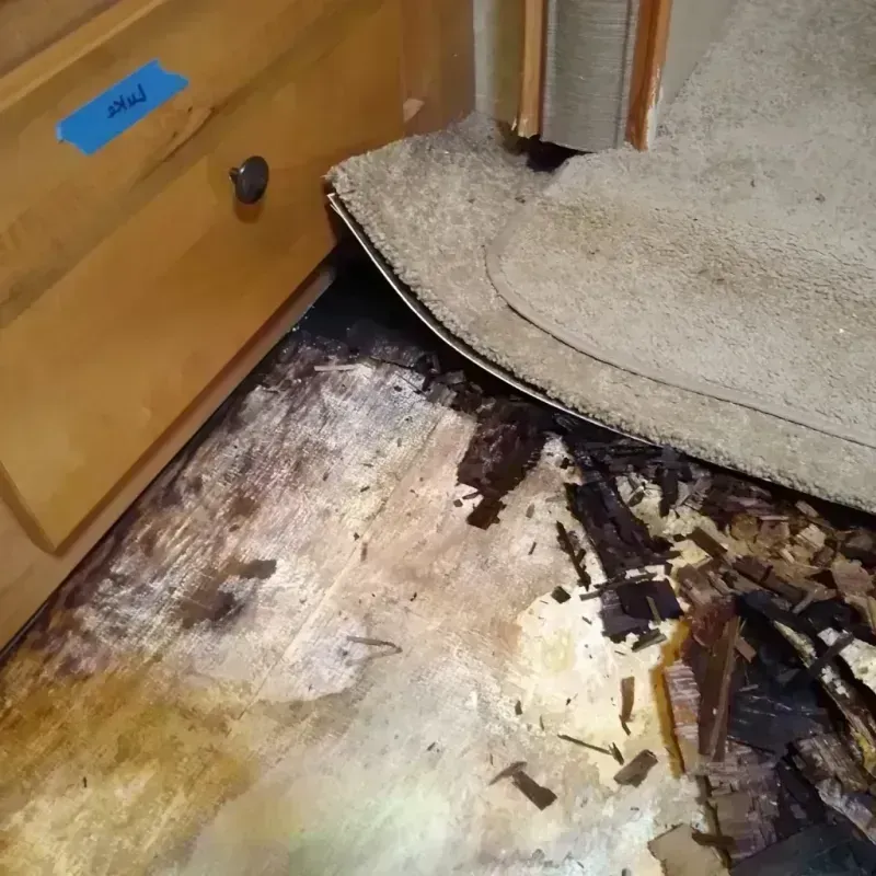 Best Wood Floor Water Damage Service in Ordway, CO